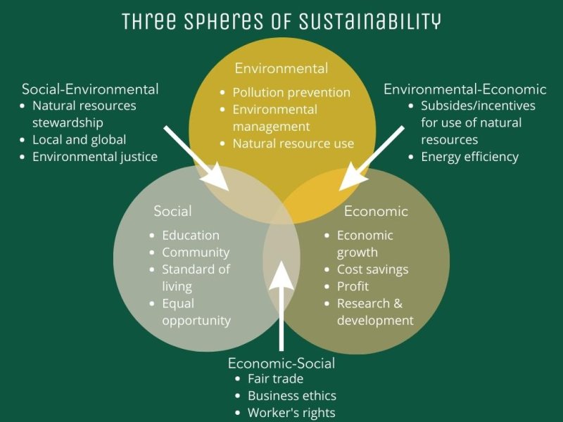 Why Sustainability Matters At PLNU | PLNU